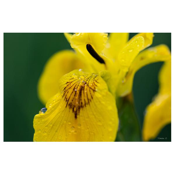 PHOTO84, CLUB, 84 , LUBERON